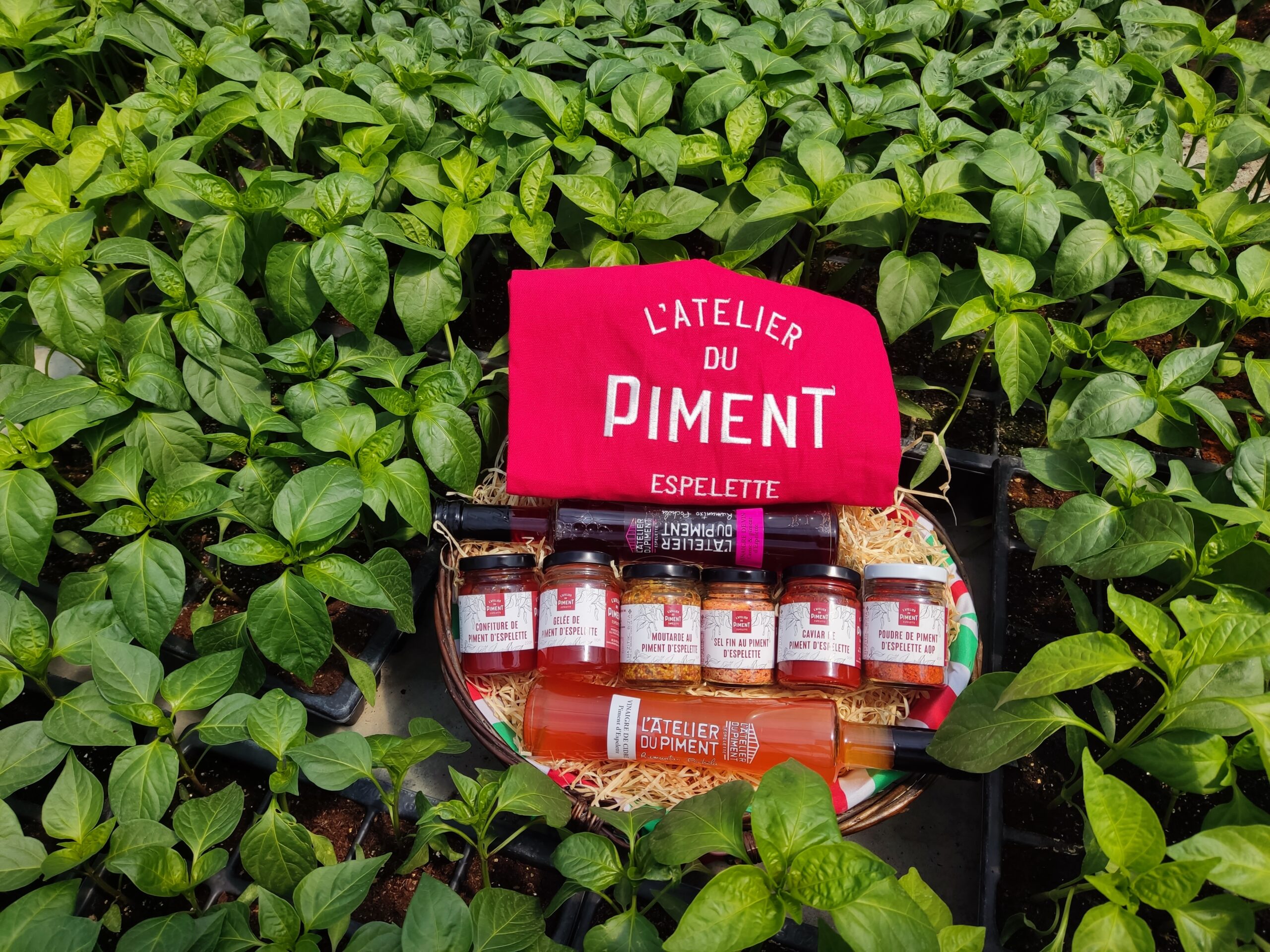 Panier de l'Atelier - Nos meilleures recettes ! – Image 2