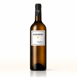 vin blanc irouléguy mignaberry